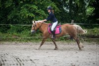 0021 Moussy le neuf  - CASSANDRE -7364 : 2016, 5 JUIN 2016, Cassandre, JUMPING MOUSSY LE NEUF, SAUT D'OBSTACLE