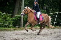 0023 Moussy le neuf  - CASSANDRE -7366 : 2016, 5 JUIN 2016, Cassandre, JUMPING MOUSSY LE NEUF, SAUT D'OBSTACLE