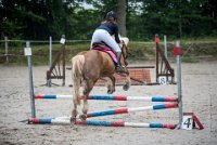 0025 Moussy le neuf  - CASSANDRE -7368 : 2016, 5 JUIN 2016, Cassandre, JUMPING MOUSSY LE NEUF, SAUT D'OBSTACLE