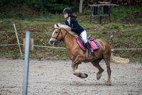 0027 Moussy le neuf  - CASSANDRE -7370 : 2016, 5 JUIN 2016, Cassandre, JUMPING MOUSSY LE NEUF, SAUT D'OBSTACLE