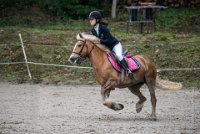 0028 Moussy le neuf  - CASSANDRE - : 2016, 5 JUIN 2016, Cassandre, JUMPING MOUSSY LE NEUF, SAUT D'OBSTACLE