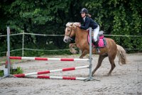 0030 Moussy le neuf  - CASSANDRE -7372 : 2016, 5 JUIN 2016, Cassandre, JUMPING MOUSSY LE NEUF, SAUT D'OBSTACLE