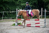 0031 Moussy le neuf  - CASSANDRE -7373 : 2016, 5 JUIN 2016, Cassandre, JUMPING MOUSSY LE NEUF, SAUT D'OBSTACLE