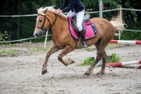 0032 Moussy le neuf  - CASSANDRE -7374 : 2016, 5 JUIN 2016, Cassandre, JUMPING MOUSSY LE NEUF, SAUT D'OBSTACLE