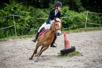 0033 Moussy le neuf  - CASSANDRE -7375 : 2016, 5 JUIN 2016, Cassandre, JUMPING MOUSSY LE NEUF, SAUT D'OBSTACLE