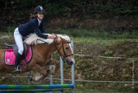 0035 Moussy le neuf  - CASSANDRE -7377 : 2016, 5 JUIN 2016, Cassandre, JUMPING MOUSSY LE NEUF, SAUT D'OBSTACLE