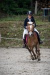 0036 Moussy le neuf  - CASSANDRE -7378 : 2016, 5 JUIN 2016, Cassandre, JUMPING MOUSSY LE NEUF, SAUT D'OBSTACLE