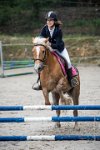 0040 Moussy le neuf  - CASSANDRE -7382 : 2016, 5 JUIN 2016, Cassandre, JUMPING MOUSSY LE NEUF, SAUT D'OBSTACLE