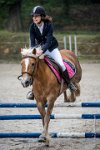 0041 Moussy le neuf  - CASSANDRE -7383 : 2016, 5 JUIN 2016, Cassandre, JUMPING MOUSSY LE NEUF, SAUT D'OBSTACLE