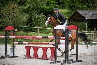 0001CSO SAINT AULDE - PERSANNE DES RIOLLETS 0080CSO Saint Aulde GP 120CSO 3376- : 2 juillet 2016, 2016, CSO Saint Aulde, Grand prix 120cm, P6, PERSANNE DES RIOLLETS