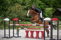 0002CSO SAINT AULDE - PERSANNE DES RIOLLETS 0081CSO Saint Aulde GP 120CSO 3377- : 2 juillet 2016, 2016, CSO Saint Aulde, Grand prix 120cm, P6, PERSANNE DES RIOLLETS