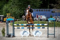 0004CSO SAINT AULDE - PERSANNE DES RIOLLETS 0083CSO Saint Aulde GP 120CSO 3379- : 2 juillet 2016, 2016, CSO Saint Aulde, Grand prix 120cm, P6, PERSANNE DES RIOLLETS