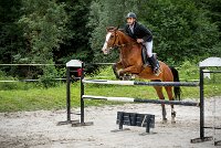 0009CSO SAINT AULDE - PERSANNE DES RIOLLETS 0089CSO Saint Aulde GP 120CSO 3385- : 2 juillet 2016, 2016, CSO Saint Aulde, Grand prix 120cm, P6, PERSANNE DES RIOLLETS