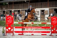 0012CSO SAINT AULDE - PERSANNE DES RIOLLETS 0092CSO Saint Aulde GP 120CSO 3388- : 2 juillet 2016, 2016, CSO Saint Aulde, Grand prix 120cm, P6, PERSANNE DES RIOLLETS