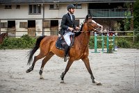 0014CSO SAINT AULDE - PERSANNE DES RIOLLETS 0094CSO Saint Aulde GP 120CSO 3390- : 2 juillet 2016, 2016, CSO Saint Aulde, Grand prix 120cm, P6, PERSANNE DES RIOLLETS