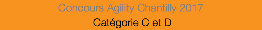 Concours Agility Chantilly 2017 Catégorie C et D