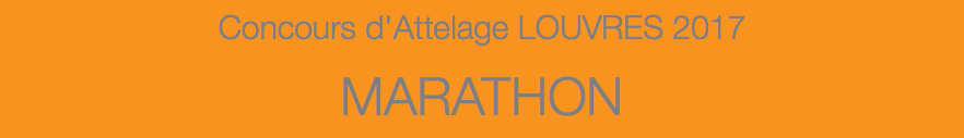 Concours d'Attelage LOUVRES 2017 MARATHON