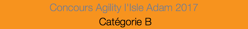 Concours Agility l'Isle Adam 2017 Catégorie B