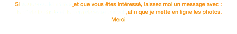 Si vous vous identifiez et que vous êtes intéressé, laissez moi un message avec : le n° de la photo et le nom de votre cheval ,afin que je mette en ligne les photos. Merci