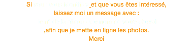 Si vous vous identifiez et que vous êtes intéressé, laissez moi un message avec : le n° de la photo et le nom de votre cheval ,afin que je mette en ligne les photos. Merci