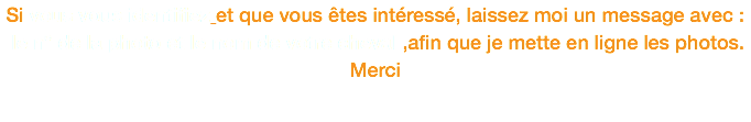 Si vous vous identifiez et que vous êtes intéressé, laissez moi un message avec : le n° de la photo et le nom de votre cheval ,afin que je mette en ligne les photos. Merci