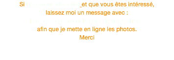 Si vous vous identifiez et que vous êtes intéressé, laissez moi un message avec : le n° de la photo et le nom de votre cheval afin que je mette en ligne les photos. Merci