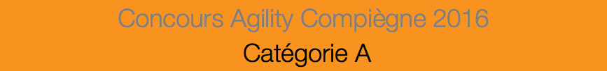 Concours Agility Compiègne 2016 Catégorie A