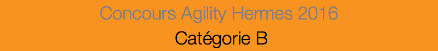Concours Agility Hermes 2016 Catégorie B