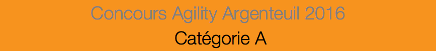 Concours Agility Argenteuil 2016 Catégorie A